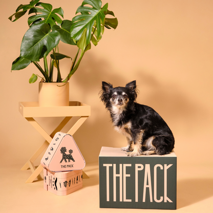 Plant-Based Healthy Meals