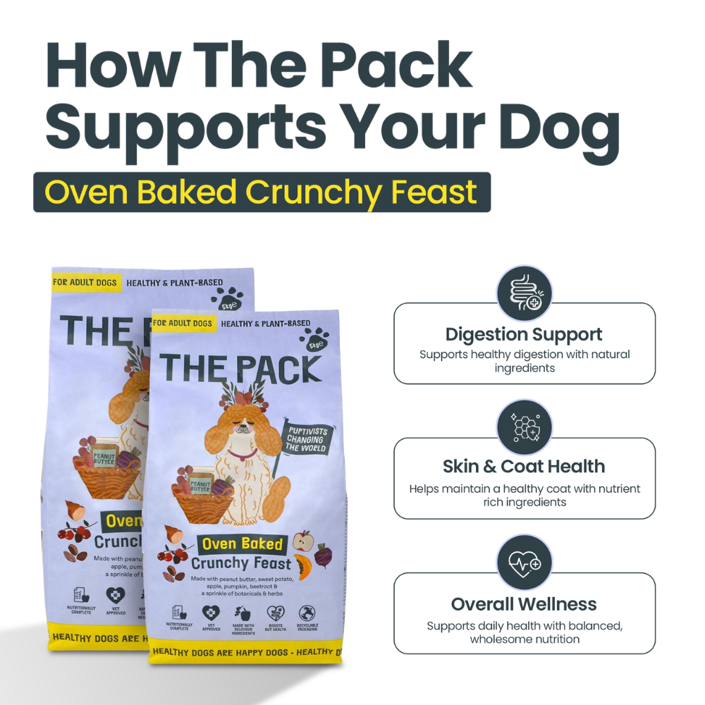 Oven Baked Dried Food