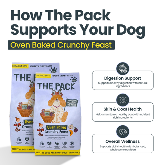 Oven Baked Dried Food