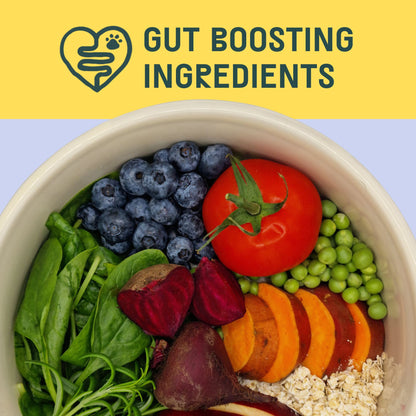 Oven Baked Dried Food