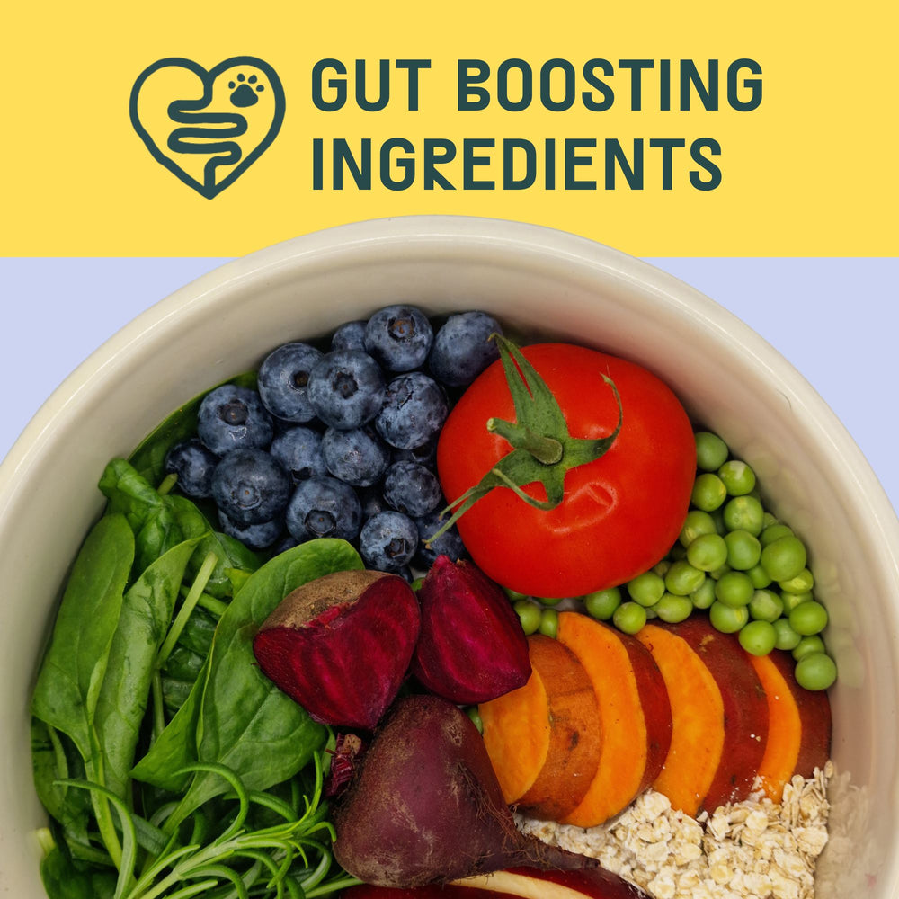 
                
                  Oven Baked Dried Food
                
              