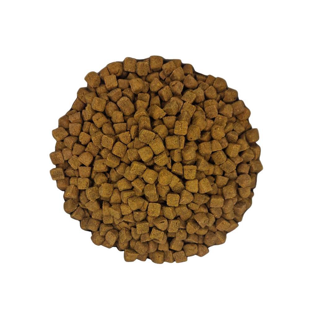 Baked kibble best sale