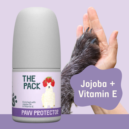 THE PACK Roll On Paw Protector