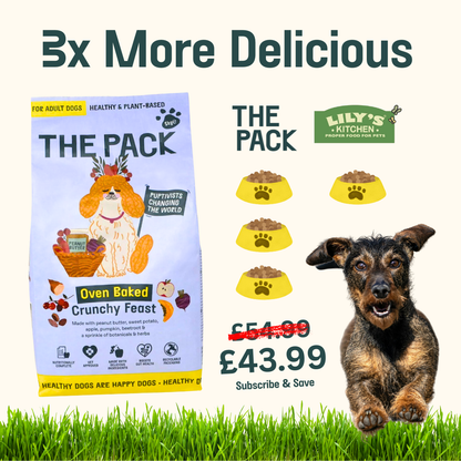 Oven Baked Dried Food