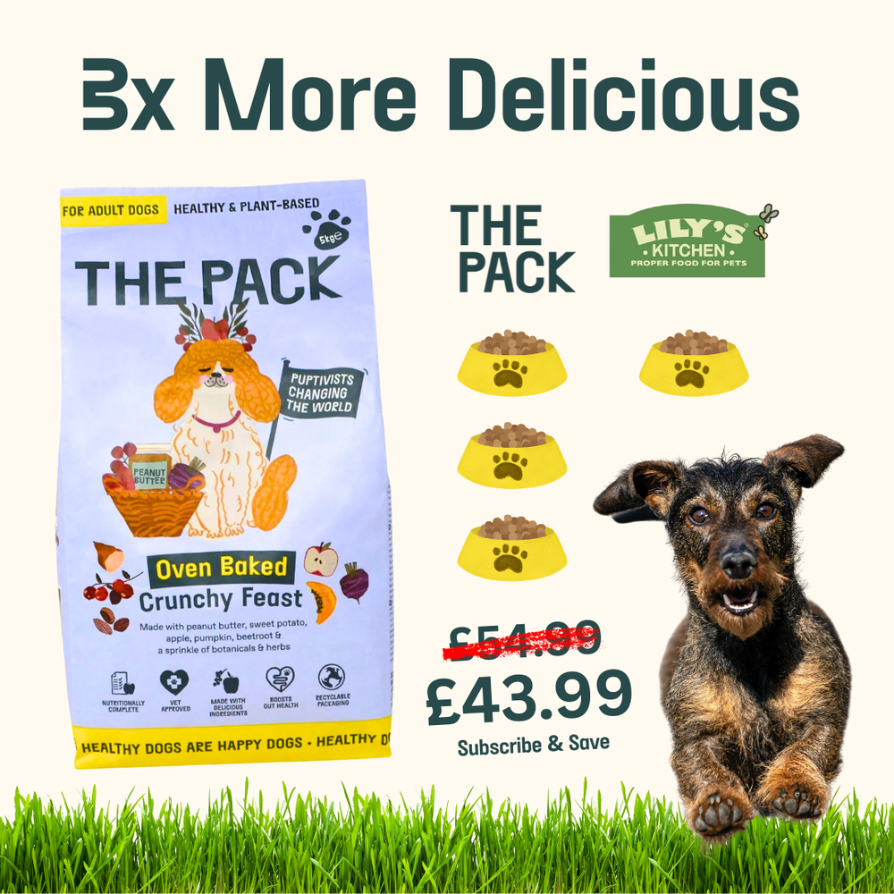 
                
                  Oven Baked Dried Food
                
              