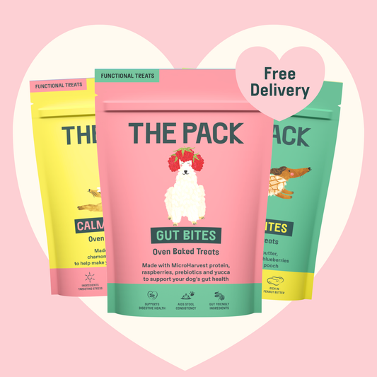 Functional Treats Taster Bundle