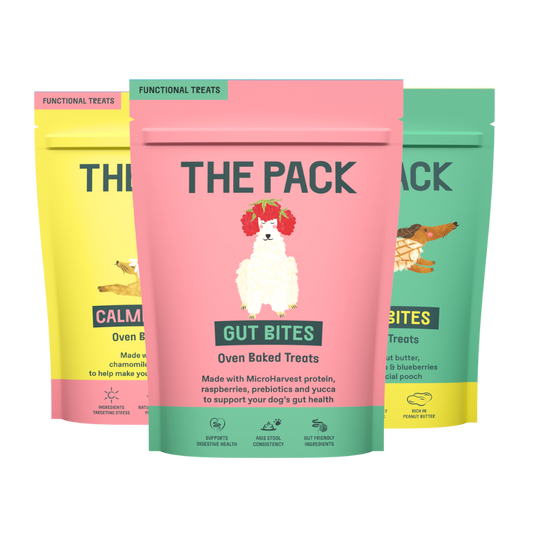 Functional Treats Taster Bundle