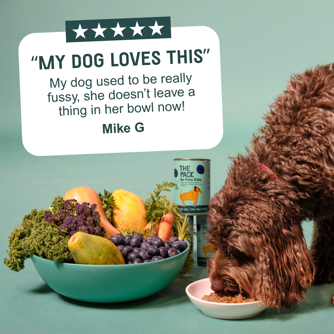 Plant-Based Healthy Meals