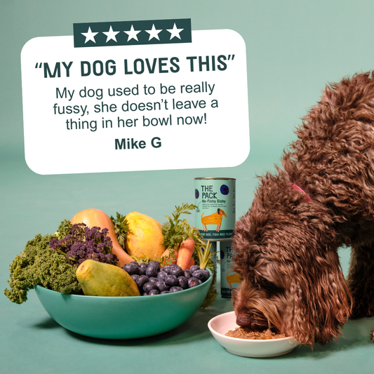 Plant-Based Healthy Meals