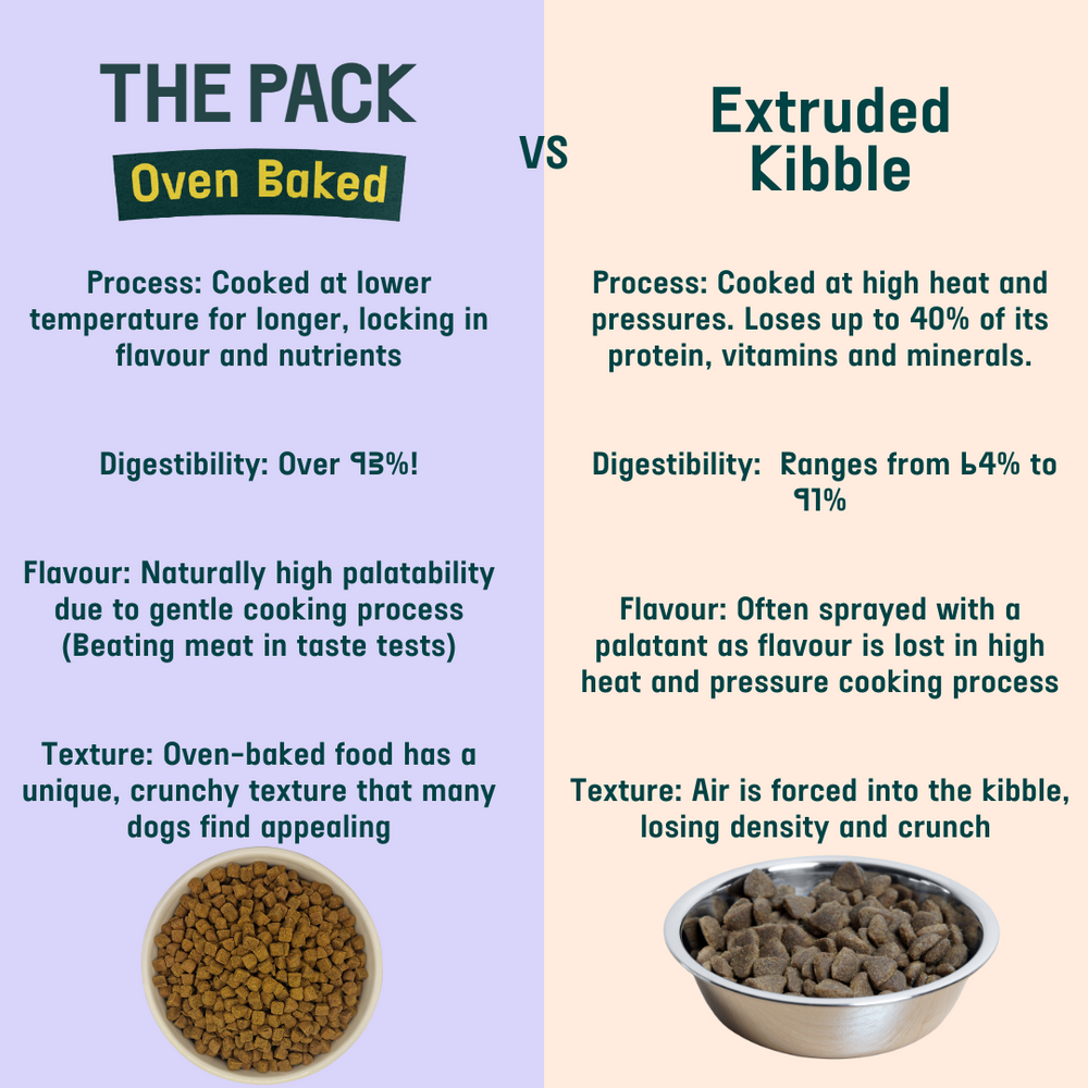 Peter Kibble THE PACK Oven Baked Crunchy Feast Superfood Vegan Dry Dog Food Kibble
