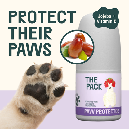 THE PACK Roll On Paw Protector