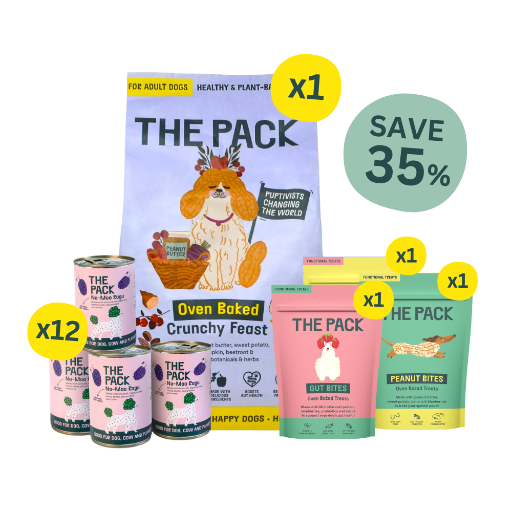 THE PACK Starter Bundle