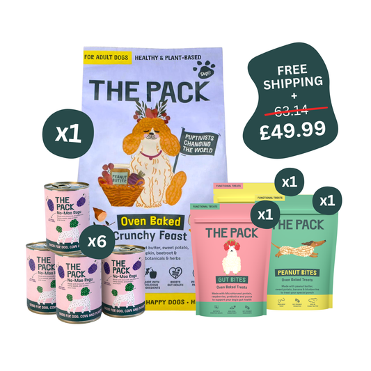THE PACK Spring Saver Bundle ☀️