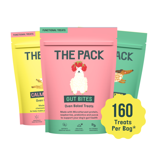 Functional Treats Taster Bundle (3 Bags)