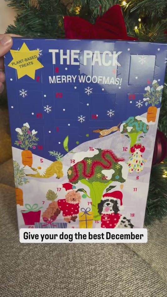 Dog Advent Calendar