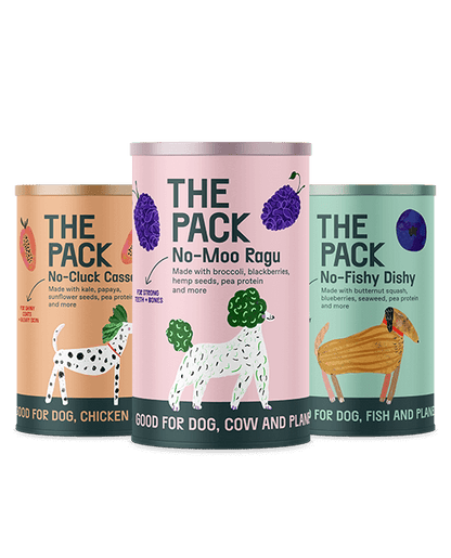 Plant-Based Healthy Meals