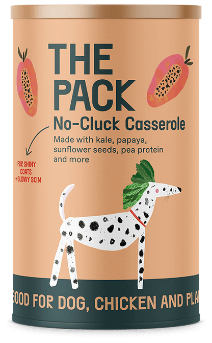 Plant-Based Healthy Meals