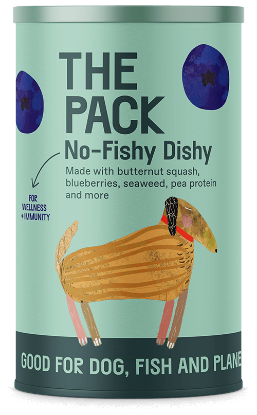 Plant-Based Healthy Meals