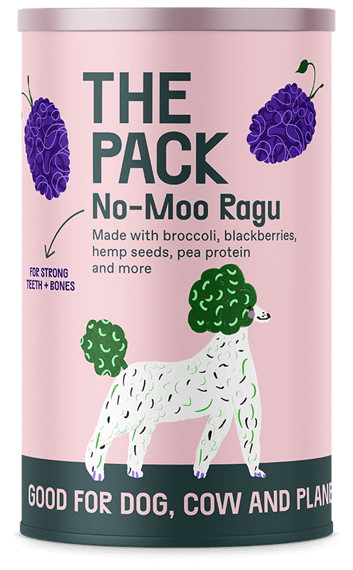 Plant-Based Healthy Meals