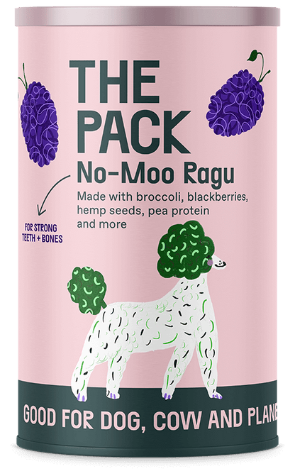 Plant-Based Healthy Meals